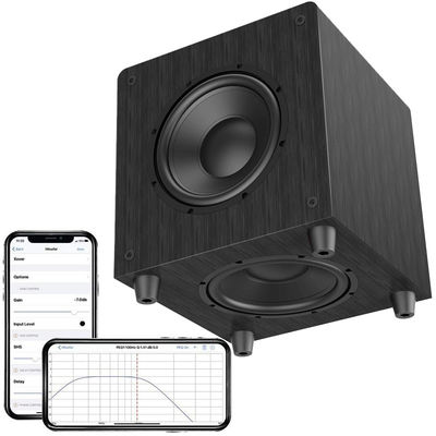 12 inch 10 inch Subwoofer Home Theater 500 Watt Met Gepoetste Zwarte Vinyl OEM